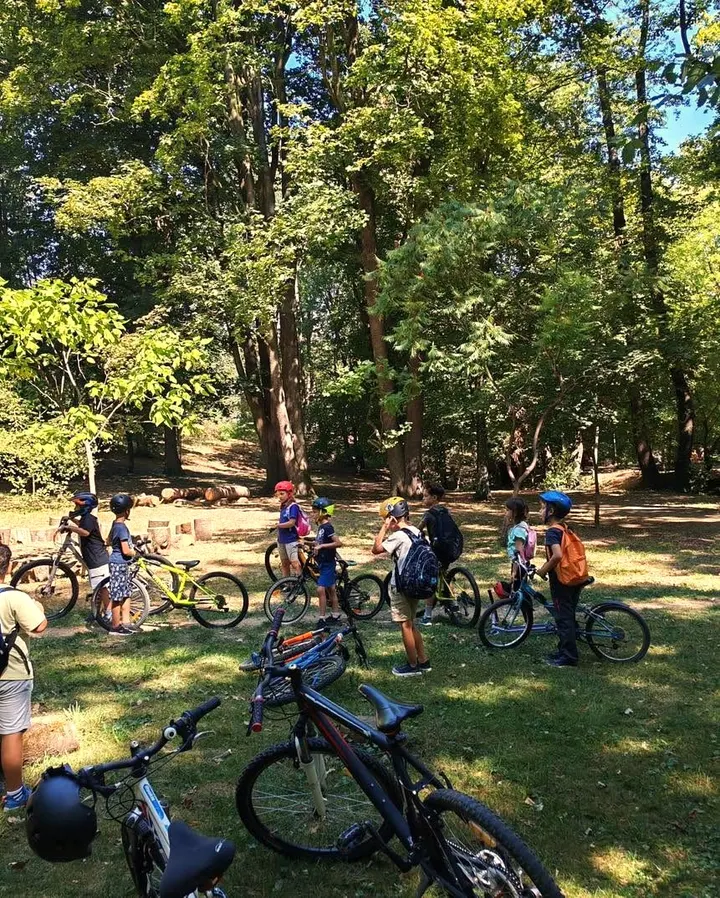 Kinder von PARK Afterschool mit Helmen und Fahrrädern bei einem Ausflug im Wald